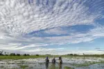 Los humedales, tesoros de agua y vida en peligro. Foto: Felipe Villegas (Instituto Humboldt).