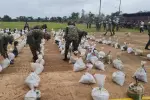 Golpe a las finanzas ilegales: Ejército incauta 48 toneladas de coltán en Vichada