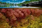 Naturaleza viva y compromiso ambiental en el corazón de Colombia.