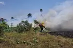 Alerta por altas temperaturas en el Meta, autoridades advierten mayor riesgo de incendios forestales