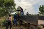 Con acciones como esta, Puerto Carreño reafirma su compromiso con la conservación del medio ambiente y el desarrollo sostenible.