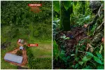 Distancia del campo de la escuelita y desactivación del campo respectivamente.