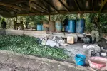 Destruidos por el Ejército Nacional