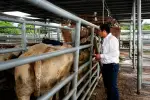 La fortalecen para mayor competitividad y sostenibilidad