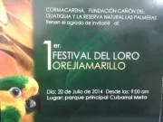 La Fundación Cañón del Guatiquía y la Reserva Natural las Palmeras realizarán el Primer Festival del Loro Orejiamarillo en el municipio de Cubarral, Meta.