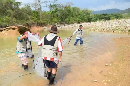 Casanare realiza los estudios de caracterización de humedales, piedemonte y montaña, para la conservación de servicios ecosistémicos asociados a la adaptación de cambio climático.