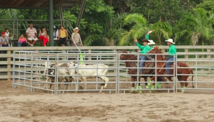 Con equipos nacionales y extranjeros, se llevó a cabo en Villavicencio la Séptima Válida de Team Penning.