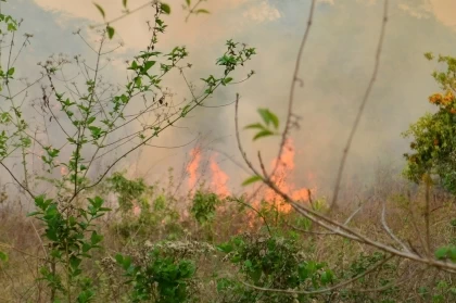 Colombia es considerado un territorio de climatología de tipo sabana caracterizado por una época seca y una época de lluvia.