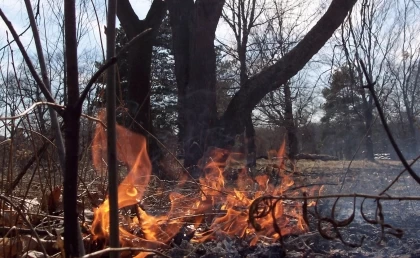 Alerta roja por incendios para el departamento de Arauca, en vista del incremento de la temperatura climática por cuenta del Fenómeno del Niño.