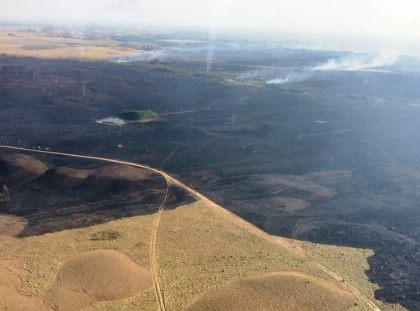 Más de 2000 hectáreas fueron acabar con incendio forestal en Puerto López, Meta. 