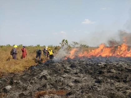 Fuego consumió 1500 hectáreas de vegetación en inmediaciones de la laguna El Tinije entre los municipios de Aguazul y Maní, Casanare.