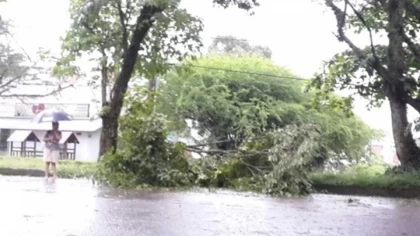 Vendaval del martes en la tarde en Villavicencio, dejó siete árboles caídos, un poste de energía derrumbado, al menos 50 casas destechadas y cinco personas heridas.