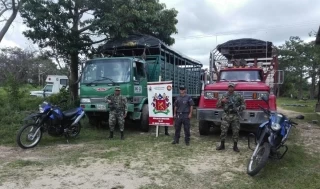 Ejército y CTI recuperaron 24 cabezas de ganado en la zona rural del municipio de Maní en el departamento de Casanare.
