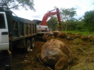 Trabajo que adelanta la Gobernación de Casanare como protección al puente de la quebrada La Curuché en el municipio de Támara.