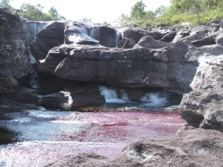 Caño Cristales y sus atractivos conexos llegaron al tope de su capacidad de carga para diferentes fechas en noviembre.