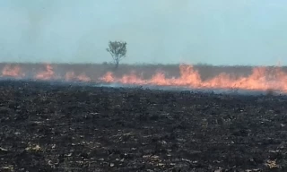 Parques Nacionales Naturales de Colombia informa a la comunidad en general, que, desde el pasado lunes 27 de febrero, se está presentando un incendio forestal en el Parque Nacional Natural el Tuparro, cerca del sector conocido como Línea Roja,
