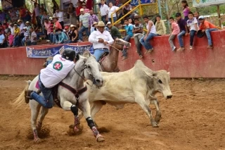 El proyecto incluye medidas de protección a los animales durante el desarrollo del coleo y sanciones a actos deliberados de maltrato animal.