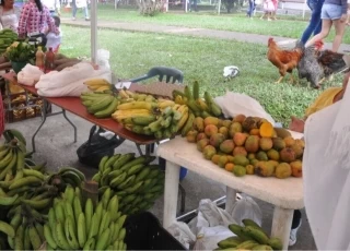 Expoferia campesina en la Chaparrera