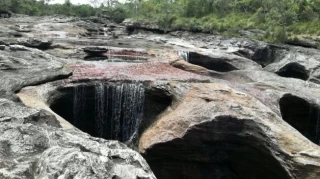 Debido a sequía se restringen actividades en Caño Cristales y Caño Cristalitos  se ha determinado que a partir de hoy se restringe el baño en todas sus piscinas, hasta que mejoren las condiciones hídricas.
