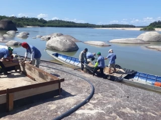 Acciones para la protección de los huevos que depositan las tortugas Terecay “Podocnemis unifilis” en las playas de los ríos Tomo y Tuparro, en departamento del Vichada.