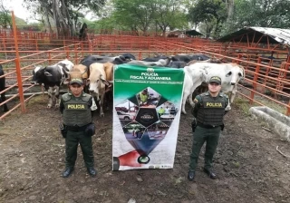 Dian informó que continúan operativos contra el contrabando en Arauca.