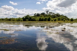 La nueva área protegida de categoría Distrito Nacional de Manejo Integrado (DNMI): Cinaruco. Ubicado al oriente del departamento de Arauca.