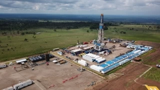 El descubrimiento se produjo en el municipio de Tame con el pozo Andina-1 que registró presencia de crudo liviano de 42 grados API. Andina-1 es operado por Parex  y Ecopetrol es su socio en el bloque Capachos.