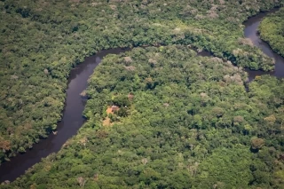 ocho fiscales especializados, que coordinará las acciones investigativas y operativas para afectar a las estructuras criminales responsables de la tala indiscriminada de bosque de la Amazonia colombiana.