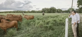 Con el objetivo de frenar el contrabando y asegurar la sanidad de la producción y el comercio de ganado y carne, el Ministerio de Agricultura, el ICA, el Invima y la Polfa adoptarán cinco acciones clave frente a nuevos brotes de la enfermedad en zonas de frontera.
