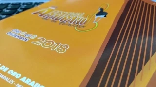De la versión 53 del Festival Araucano de la Frontera 2018 y sus actividades anexas.