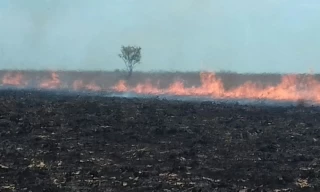 Los fuertes vientos y las altas temperaturas mantienen en Alerta Roja a doce municipios de Casanare, cinco de Arauca, dos del Meta y tres del Vichada por alta incidencia de incendios de la cobertura vegetal.