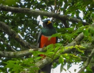 Se desarrolló la capacitación en Avistamiento de Aves en el municipio de La Macarena, Meta.