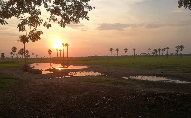 Los Morichales de Paz de Ariporo, donde habitan jaguares Dantas y más de un centenar de plantas y aves,  será protegido mediante pacto de conservación.
