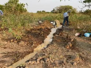 Con puntillos de agua mitigan sequia que pone en peligro la vida de miles de babillas en la vereda Matal de Floramarillo en el municipio de Arauca.