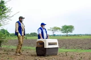 Dando cumplimiento a lo ordenado por el Presidente de la República, en el Decreto 531, y que amplía las medidas de aislamiento preventivo obligatorio en todo el territorio nacional, la Corporación Autónoma Regional de la Orinoquía adelantará la Audiencia Pública de manera virtual. 