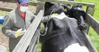 La vacunación se realizará, atendiendo el protocolo de bioseguridad para el manejo y control de riesgo del Covid-19, establecido por el Ministerio de Salud y Protección Social.