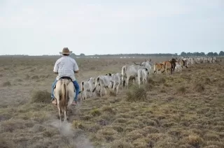Desde el pasado 13 de abril y hasta el próximo 13 de junio está abierta la convocatoria para el programa "Alianzas Productivas para la Vida", del Ministerio de Agricultura y Desarrollo Rural