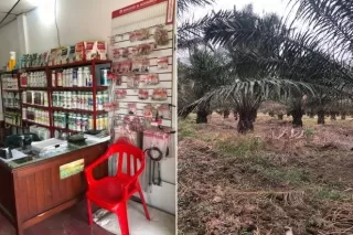 En el transcurso del 2020, el ICA en Casanare ha expedido 22 resoluciones de registro a predios y/o almacenes que cumplieron con lo estipulado en la normatividad vigente.