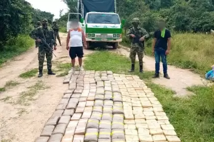 Ejército Nacional incautó marihuana en zona rural de Paz de Ariporo, Casanare.