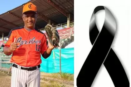 Enjambre de abejas causa muerte a deportista en Arauca.