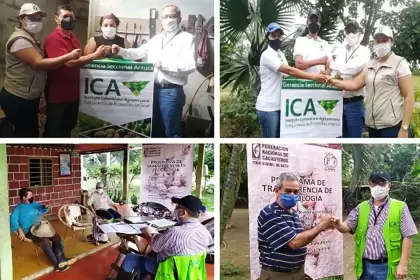 ICA y gremios acompañan a productores en certificación de los predios en BPA