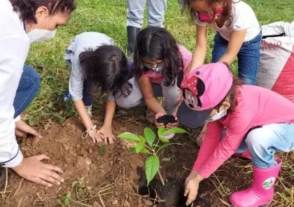 Alcaldía de Yopal realizó siembra de árboles en la ronda hídrica del Caño Campiña