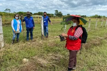 Más de 4.100 especímenes plantó Corporinoquia en el día Internacional del árbol 