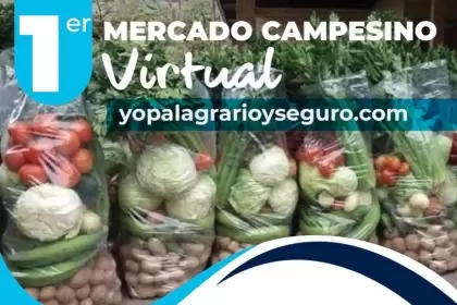 Mercados campesinos virtuales, una apuesta de reactivación económica 
