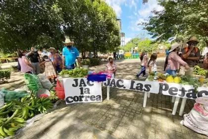 El mandatario adelantará agenda en los municipios araucanos hasta el 22 de diciembre