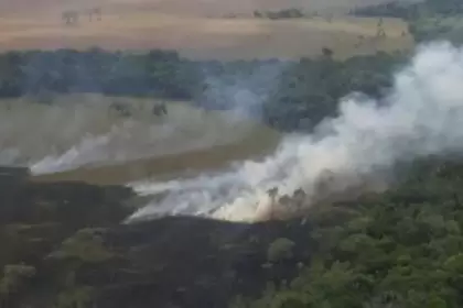 Incendio en Parque Nacional El Tuparro afecta más de 2 mil hectáreas