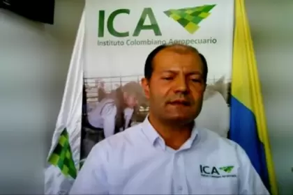 El ICA en Arauca dio a conocer los resultados de su gestión en el 2020