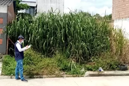 Esta labor se realiza para prevenir posibles problemas de seguridad y de salubridad.
