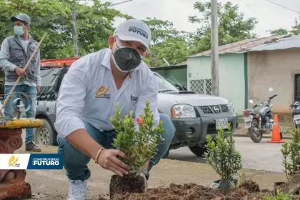 Embellecimiento del sector con podas, limpieza, pintura, siembra de árboles y capacitaciones fueron las principales actividades que se desarrollaron