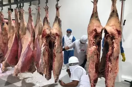 Reactivan las actividades en el Frigomatadero de Arauca